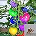 foto BigFamily 100Pcs Semi di pomodoro arcobaleno Semi di verdure bonsai colorati Home Garden Decor nuovo bestseller 2024-2023
