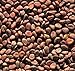 foto Shoopy Star 100 - Semi: Daikon (Giant) ravanello Seeds - Dolce e Molto Croccante! Grande per Germogli Gustoso Troppo! nuovo bestseller 2024-2023