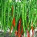 Foto Gemüsesamen echte Frische Rare Red Pepper Samen (Hot Chili) Bio-Gemüse Chili-Pfeffer 100 Samen e25 neu Bestseller 2022-2021