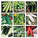 Foto 50pcs Variety Gurkensamen Garten Gurke-Samen Bio-Gemüsesamen Gartenpflanze DIY MIX neu Bestseller 2022-2021