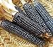foto Go Garden 10 - Semi: Rio Grande Blu Corn Seeds - varietÃ  di mais blu dal Rio Grande Pueblos nuovo bestseller 2024-2023