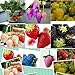 foto 1500 semi 15 tipi di semi di fragola nero, bianco, giallo, blu, rosso, giganti, arancio, pruple, verde giardino piante da frutto nuovo bestseller 2024-2023
