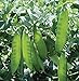 Foto Shoopy Star 25 - Seeds: 'Mammoth Melting Sugar' Garden Erbsensamen - Riesen & Knabbereien !!!! !!!! neu Bestseller 2022-2021