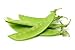 Photo Sugar Snap Snow Peas, 50 Heirloom Seeds Per Packet, Non GMO Seeds, Botanical Name: Pisum sativum 'Macrocarpon Group', Isla's Garden Seeds new bestseller 2023-2022