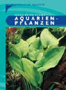 Aquarienpflanzen Foto, Bestseller 2024-2023 neu, bester Preis 5,32 € Rezension