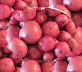 Seed Potatoes for Planting - Red LaSoda -5lbs. Photo, bestseller 2024-2023 new, best price $27.00 ($0.34 / Ounce) review
