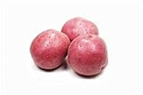 Seed Potatoes for Planting Russet - 5 lb Photo, bestseller 2024-2023 new, best price $39.97 ($0.50 / Ounce) review