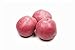 Photo Seed Potatoes for Planting Russet - 5 lb new bestseller 2023-2022