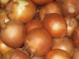 Onion Seeds- Sweet Yellow Spanish Heirloom- 250+ Seeds Photo, bestseller 2024-2023 new, best price $4.39 review