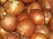 Photo Onion Seeds- Sweet Yellow Spanish Heirloom- 250+ Seeds new bestseller 2023-2022