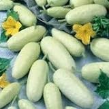 David's Garden Seeds Cucumber Pickling White Miniature 9881 (White) 50 Non-GMO, Open Pollinated Seeds Photo, bestseller 2024-2023 new, best price $4.45 review