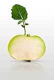 100 graines - CHOU Rave Blanc Hâtif Vienne - Brassica oleracea Photo, best-seller 2024-2023 nouveau, meilleur prix 2,29 € (0,02 € / unité) examen