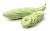 Armenian Yard-Long Cucumber Seeds - Non-GMO - 4 Grams, Approximately 130 Seeds Photo, bestseller 2024-2023 new, best price $5.99 review