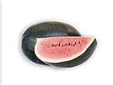 50 Black Diamond Watermelon Seeds for Planting - Heirloom Non-GMO Fruit Seeds for Planting - Grows Big Giant Watermelons Averaging 30-50 lbs Photo, bestseller 2024-2023 new, best price $5.99 review