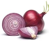 Red Shortday Burgundy Onion Seeds, 300 Heirloom Seeds Per Packet, Non GMO Seeds, Botanical Name: Allium cepa, Isla's Garden Seeds Photo, bestseller 2024-2023 new, best price $5.99 ($0.02 / Count) review
