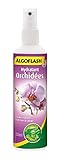 ALGOFLASH Hydratant Orchidées, Vaporisation 1 xfois par jour, 250 ml, AORCHYDRA250N Photo, best-seller 2024-2023 nouveau, meilleur prix 7,10 € (28,40 € / l) examen