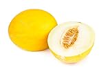 Canary Yellow Melon Seeds - Non-GMO - 2 Grams Photo, bestseller 2024-2023 new, best price $4.99 review