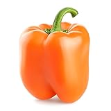 Orange Sun Sweet Bell Pepper Seeds, 100 Heirloom Seeds Per Packet, Non GMO Seeds, Botanical Name: Capsicum annuum, Isla's Garden Seeds Photo, bestseller 2024-2023 new, best price $6.25 ($0.06 / Count) review