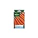 Foto Vilmorin - Paquete Semillas Zanahoria de Nantes Mejorada 3 nuevo éxito de ventas 2024-2023