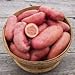 Photo Seed Potatoes for Planting French Fingerling 5lbs. new bestseller 2023-2022