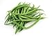 Photo Tendergreen Green Bean Seeds, 50 Heirloom Seeds Per Packet, Non GMO Seeds new bestseller 2024-2023