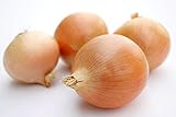 Riverside Sweet Spanish Onion Seeds, 300 Heirloom Seeds Per Packet, Non GMO Seeds Photo, bestseller 2024-2023 new, best price $5.99 review