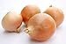 Photo Riverside Sweet Spanish Onion Seeds, 300 Heirloom Seeds Per Packet, Non GMO Seeds new bestseller 2024-2023