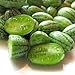 Foto zumari 100 Semillas de Fruta de Melón Cucamelon Verde. nuevo éxito de ventas 2024-2023