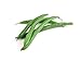 Photo Slenderette Green Bean (Bush Bean) Seeds, 50+ Heirloom Seeds Per Packet, (Isla's Garden Seeds), Non GMO Seeds, Scientific Name: Phaseolus vulgaris new bestseller 2024-2023