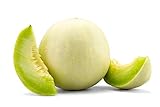 Honeydew Melon Green Flesh, 30 Heirloom Seeds Per Packet, Non GMO Seeds, Botanical Name: Cucumis melo L., Isla's Garden Seeds Photo, bestseller 2024-2023 new, best price $5.89 ($0.20 / Count) review