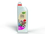 Start Engrais liquide p.fleurie 4-6-8 1L + doseur 1L ENLPF1 Photo, best-seller 2024-2023 nouveau, meilleur prix 5,65 € examen