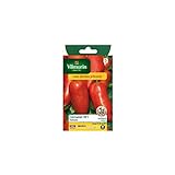 Vilmorin - Sachet graines Tomate Cornabel HF1 Photo, best-seller 2024-2023 nouveau, meilleur prix 7,75 € (0,39 € / Count) examen