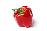 Yolo Wonder L Red Sweet Bell Pepper Seeds, 100 Heirloom Seeds Per Packet, Non GMO Seeds, Botanical Name: Capsicum annuum, Isla's Garden Seeds Photo, bestseller 2024-2023 new, best price $5.99 ($0.06 / Count) review