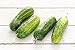 Photo Boston Pickling Cucumber Seeds, 100 Heirloom Seeds Per Packet, Non GMO Seeds, Isla's Garden Seeds new bestseller 2023-2022