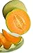 Photo Burpee Hale's Best Jumbo Cantaloupe Melon Seeds 200 seeds new bestseller 2024-2023