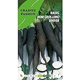 Graines Passion sachet de graines Radis noir gros long d'hiver Photo, best-seller 2024-2023 nouveau, meilleur prix 5,50 € examen