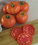 Burpee 'Super Beefsteak' | Red Beefsteak Slicing Tomato | 175 Seeds Photo, bestseller 2024-2023 new, best price $6.62 review