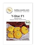 Y-Star F1 BIO Kürbissamen von Bobby-Seeds Portion Foto, Bestseller 2024-2023 neu, bester Preis 2,95 € Rezension