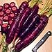 Photo Purple Dragon Carrot 350 Seeds - Absolutely unique! new bestseller 2024-2023