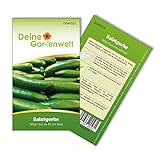 Salatgurke Tanja Samen - Cucumis sativus - Gurkensamen - Gemüsesamen - Saatgut für 8 Pflanzen Foto, Bestseller 2024-2023 neu, bester Preis 1,99 € (0,25 € / stück) Rezension