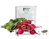500 Cherry Belle Radish Seeds, USA Grown - Easy to Grow Heirloom Radish Seeds - Spring Vegetable Garden Seeds, First Harvest in 25 Days - Non GMO Radish Seeds - Premium Red Radish Seeds by RDR Seeds Photo, bestseller 2024-2023 new, best price $5.99 ($0.01 / Count) review