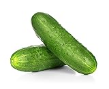 Spacemaster Cucumber Seeds, 100+ Heirloom Seeds Per Packet, (Isla's Garden Seeds), Non GMO Seeds, Botanical Name: Cucumis sativus, 85% Germination Rates Photo, bestseller 2024-2023 new, best price $5.99 ($0.06 / Count) review