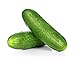 Photo Spacemaster Cucumber Seeds, 100+ Heirloom Seeds Per Packet, (Isla's Garden Seeds), Non GMO Seeds, Botanical Name: Cucumis sativus, 85% Germination Rates new bestseller 2023-2022