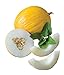 Photo Burpee Twice As Nice Hybrid (Fonzy) Melon Seeds 15 seeds new bestseller 2024-2023