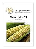 Gemüsesamen Maissamen Ramondia F1 Zuckermais Portion Foto, Bestseller 2024-2023 neu, bester Preis 2,35 € Rezension
