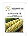 Foto Gemüsesamen Maissamen Ramondia F1 Zuckermais Portion neu Bestseller 2022-2021
