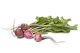 Chioggia Beet Seeds, 100+ Heirloom Seeds Per Packet, (Isla's Garden Seeds), Non GMO Seeds, Botanical Name: Beta vulgaris Photo, bestseller 2024-2023 new, best price $5.79 ($0.06 / Count) review