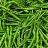 Blue Lake Pole Bean Seeds, 50 Heirloom Seeds Per Packet, Non GMO Seeds, Botanical Name: Phaseolus vulgaris, Isla's Garden Seeds Photo, bestseller 2024-2023 new, best price $5.99 ($0.12 / Count) review