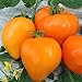 Foto Tomate Altai Honig - Sehr Leckere Tomatensorte - ertragreich - 10 Samen neu Bestseller 2024-2023