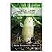 Photo Sow Right Seeds - Driller Daikon Radish Seed for Planting - Cover Crops to Plant in Your Home Vegetable Garden - Enriches Soil - Suppresses Weeds - Non-GMO Heirloom Seeds - A Great Gardening Gift new bestseller 2024-2023